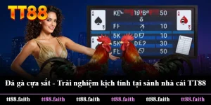 Đá Gà Cựa Sắt - Trải Nghiệm Kịch Tính Tại Sảnh Nhà Cái TT88