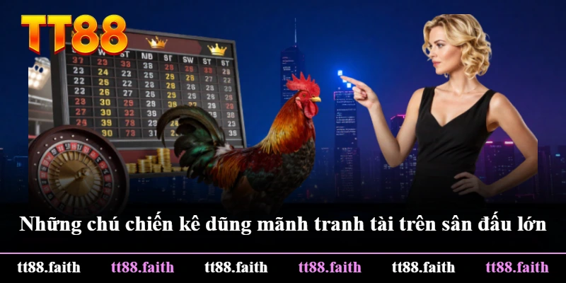 Những chú chiến kê dũng mãnh tranh tài trên sân đấu lớn Những chú chiến kê dũng mãnh tranh tài trên sân đấu lớn