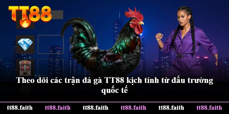 Theo dõi các trận đá gà TT88 kịch tính từ đấu trường quốc tế